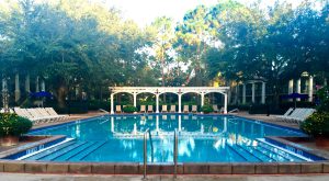 disney parks solo top 10 tips