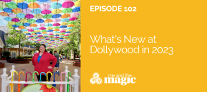 new at dollywood in 2023