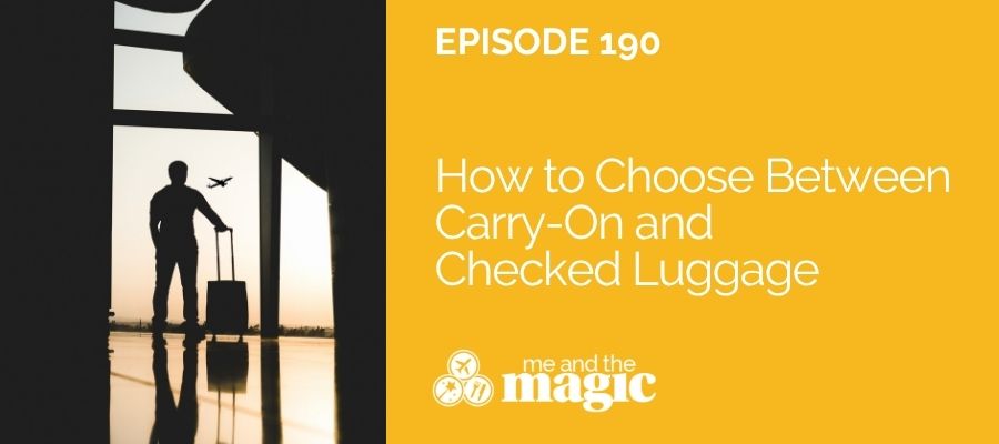 person in airport with carry on luggage